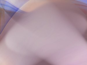 工具最新趋势解读